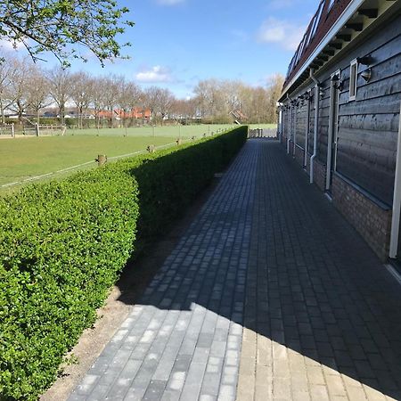 Vakantiewoningen De Schelp Renesse Exteriör bild