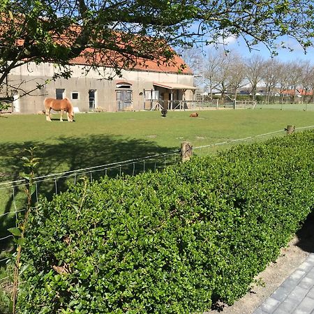 Vakantiewoningen De Schelp Renesse Exteriör bild