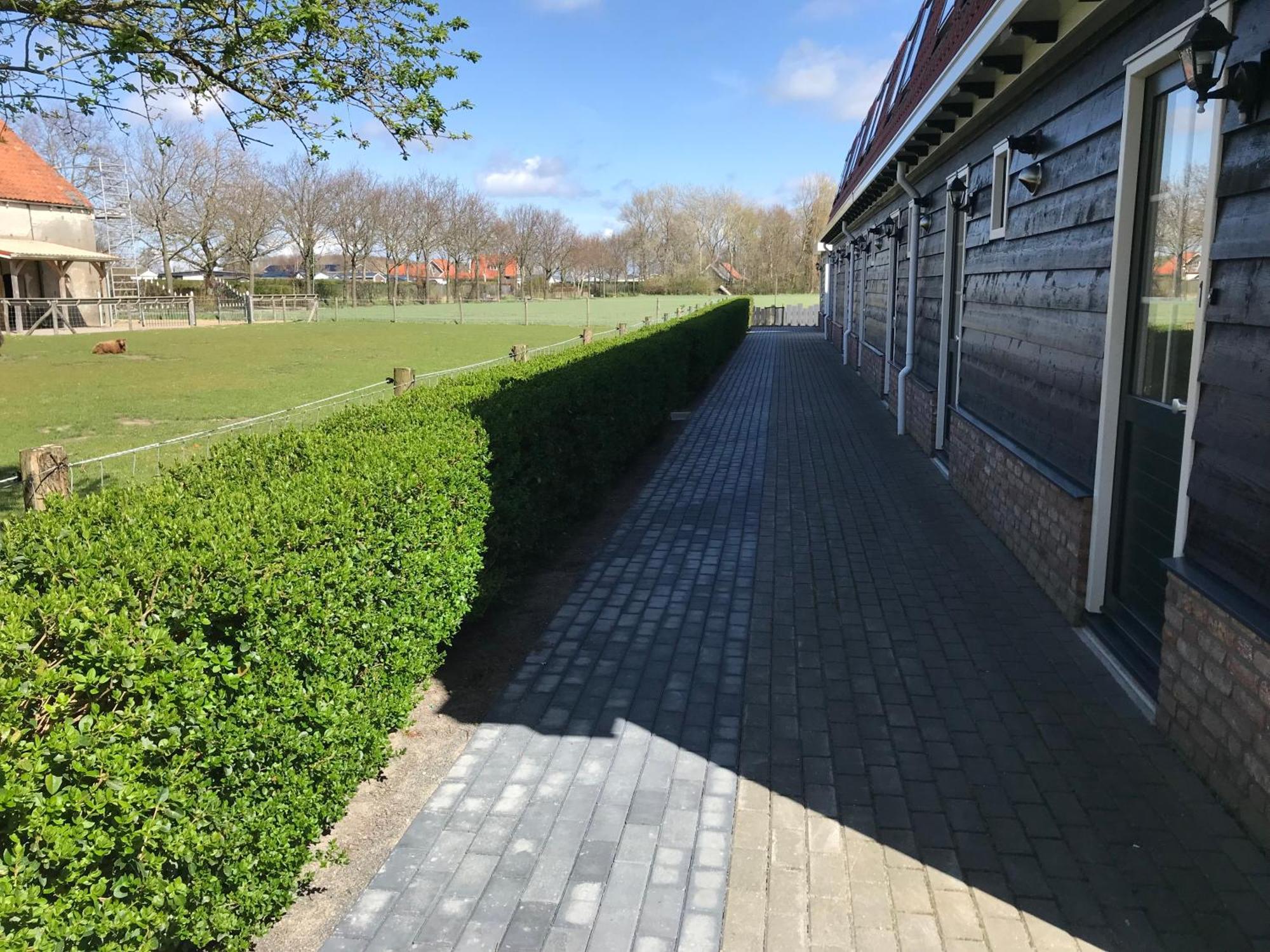 Vakantiewoningen De Schelp Renesse Exteriör bild