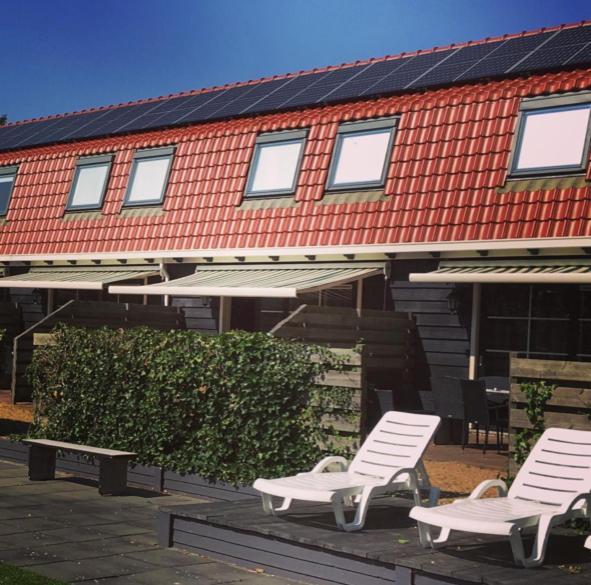 Vakantiewoningen De Schelp Renesse Exteriör bild