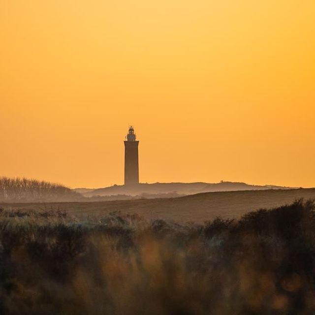 Vakantiewoningen De Schelp Renesse Exteriör bild
