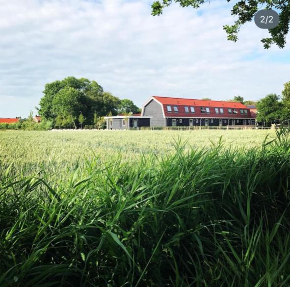 Vakantiewoningen De Schelp Renesse Exteriör bild